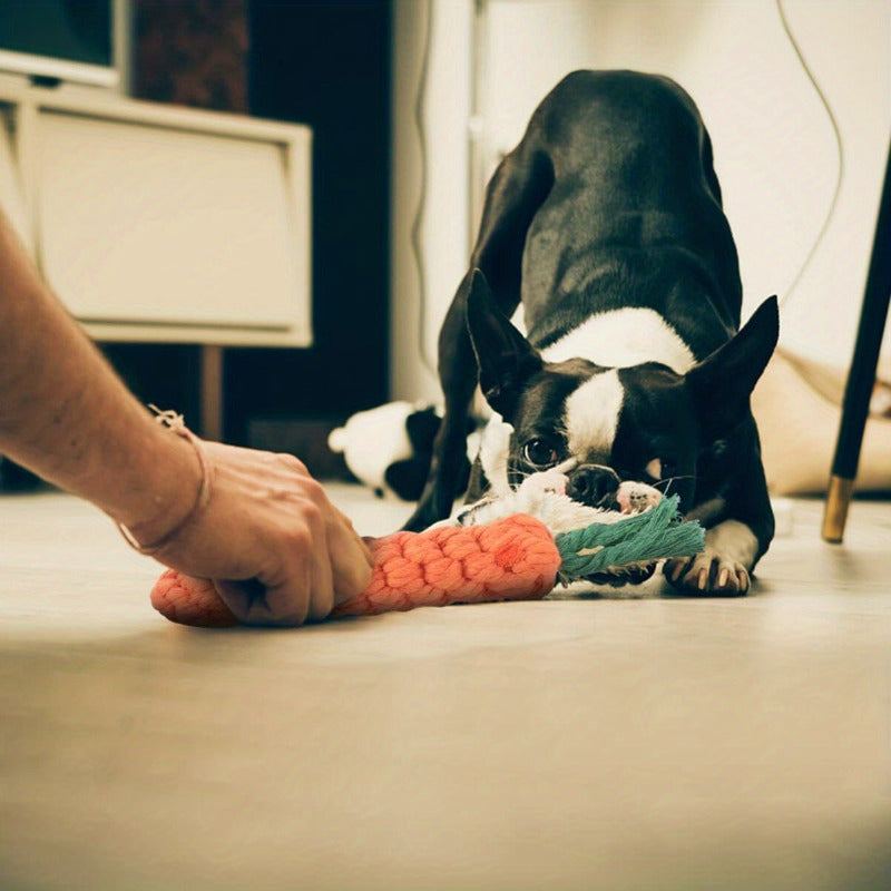 Juguete de zanahoria para perro