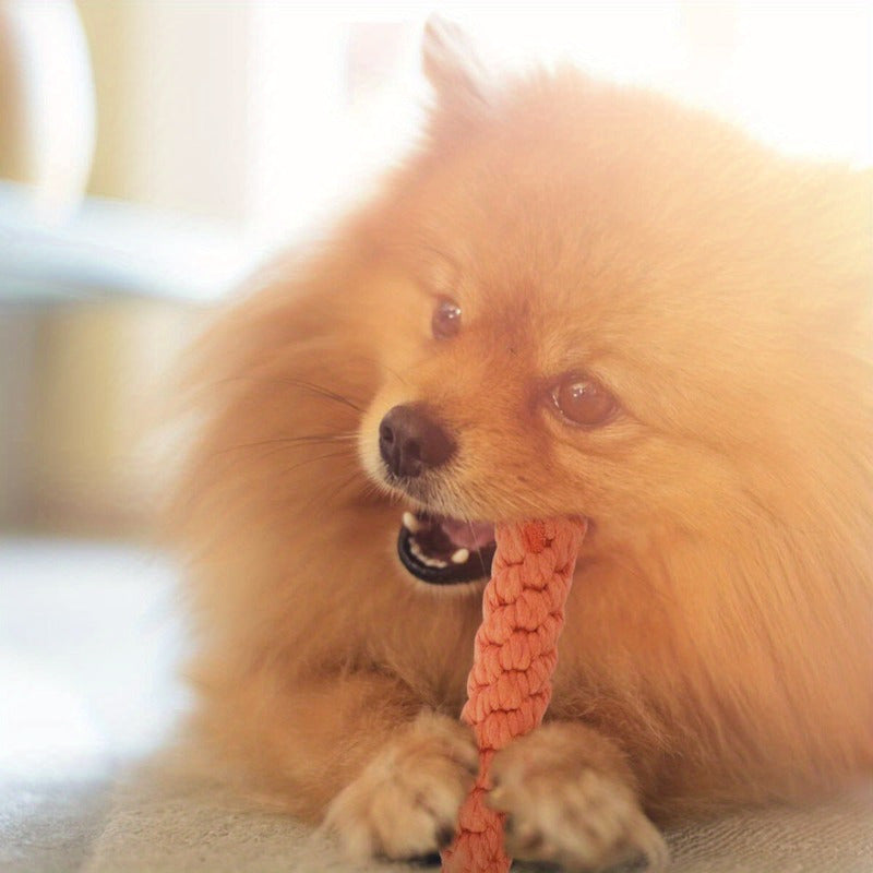 Juguete de zanahoria para perro