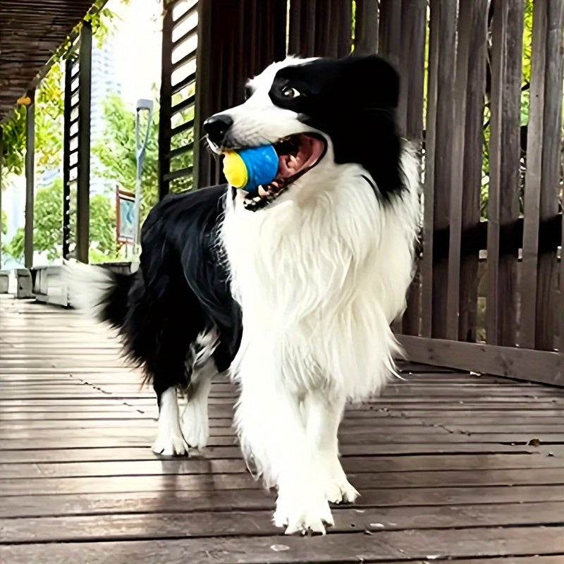 Pelota sonora para perro